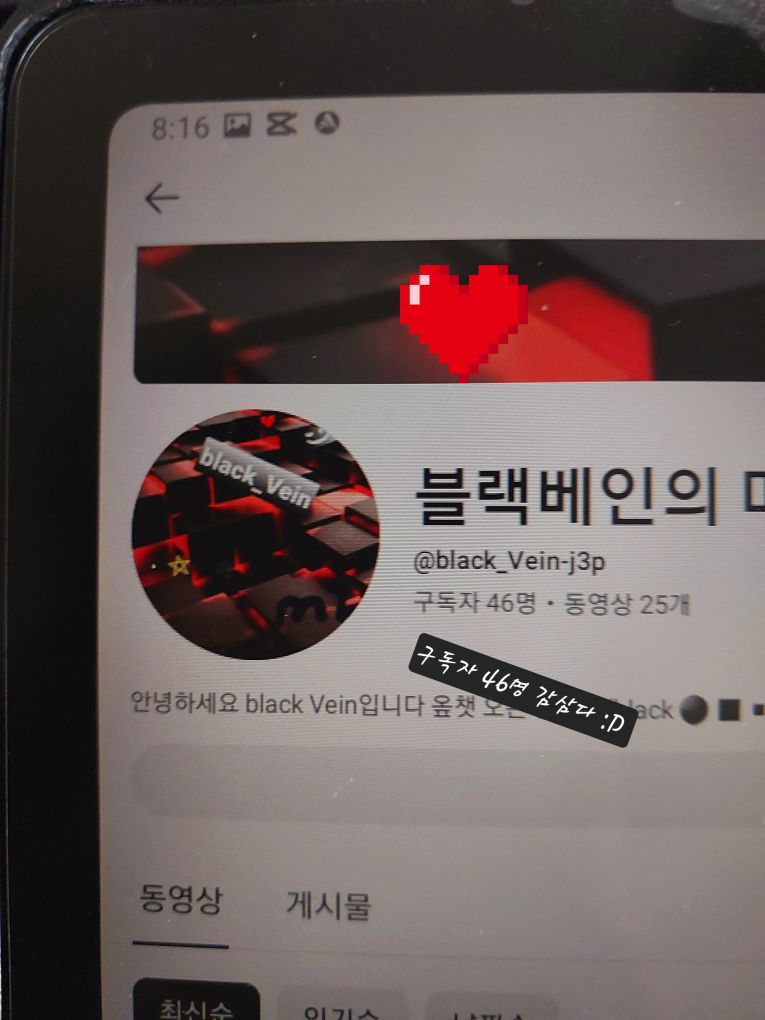 블루베리(별명) 프로필 이미지
