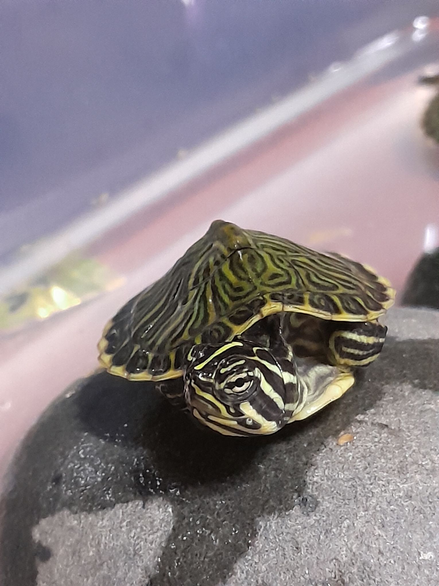 가보삭 프로필 이미지