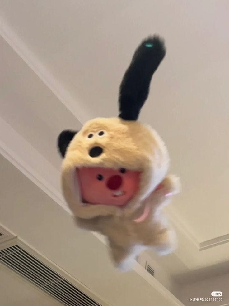 ooing 프로필 이미지