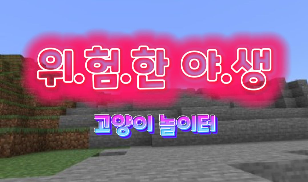 위.험.한 야.생 [고양이 놀이터]