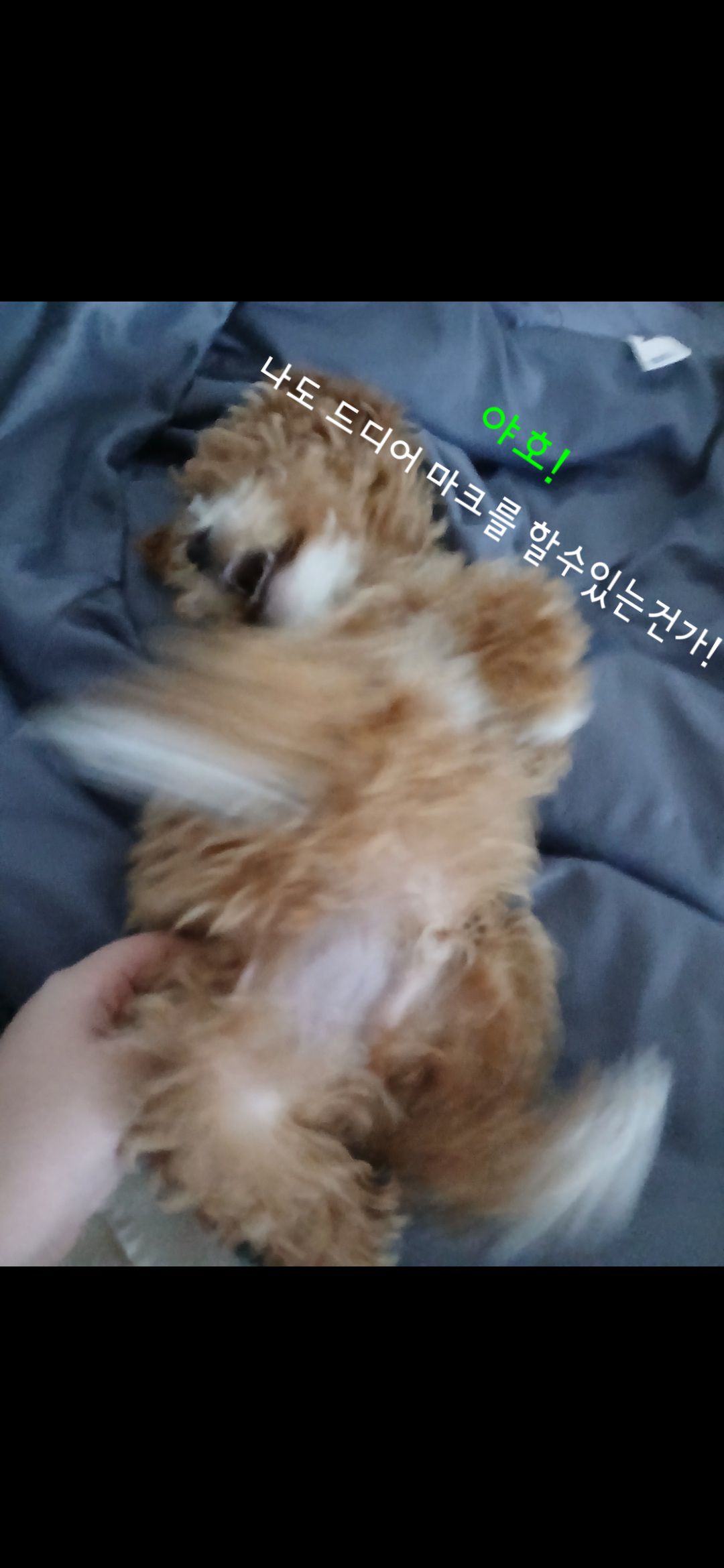 마인크래프트 무료 에디숀!