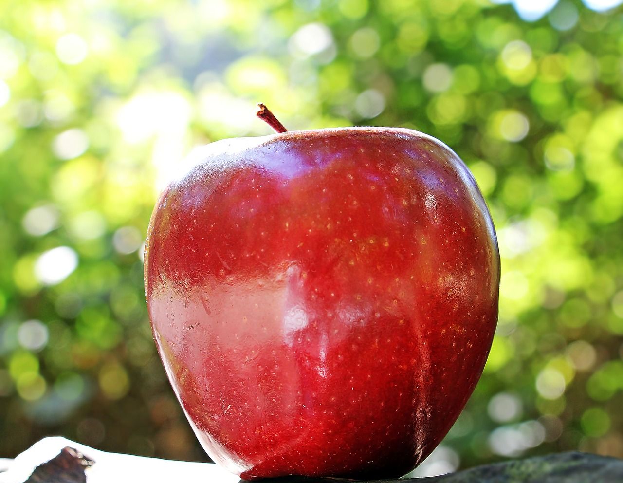 Epple 0.9.1