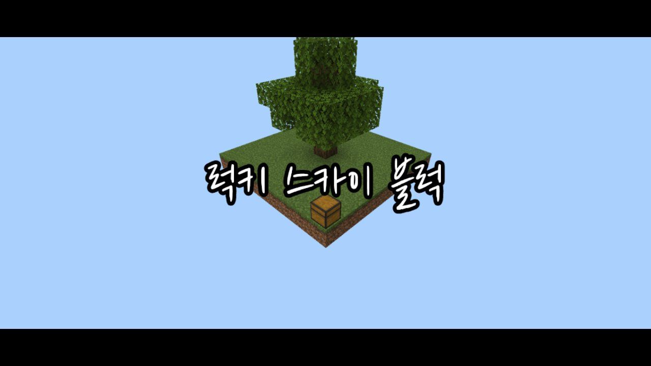 럭키 스카이 블럭