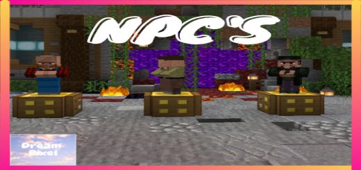 NPC 애드온