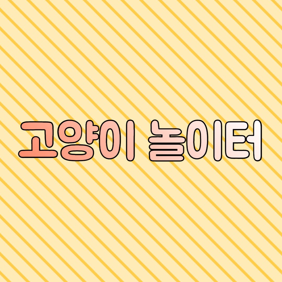 고양이 놀이터 팀 프로필 이미지
