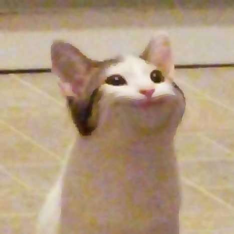 냥이 스킨공방 프로필 이미지